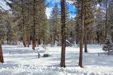 This .3 acre building lot sits perched above the beautiful Jug on Jug Mountain Ranch Golf Course in Idaho - for sale on GolfHomes.com, golf home, golf lot