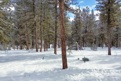 This .3 acre building lot sits perched above the beautiful Jug on Jug Mountain Ranch Golf Course in Idaho - for sale on GolfHomes.com, golf home, golf lot