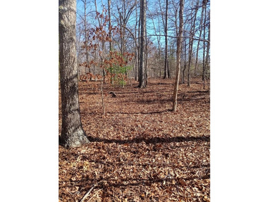 Nice level corner lot available in the desirable Lake Tansi on Lake Tansi Village Country Club in Tennessee - for sale on GolfHomes.com, golf home, golf lot