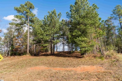 Views and a tee-box! If you are looking for a lot with amazing on The Clubs at Cherokee Valley Golf Course in South Carolina - for sale on GolfHomes.com, golf home, golf lot