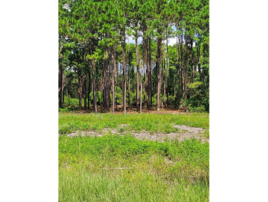 The absolute best cleared bay vies lot in St James Bay Golf & on St. James Bay in Florida - for sale on GolfHomes.com, golf home, golf lot
