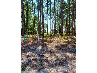 The absolute best cleared bay vies lot in St James Bay Golf & on St. James Bay in Florida - for sale on GolfHomes.com, golf home, golf lot