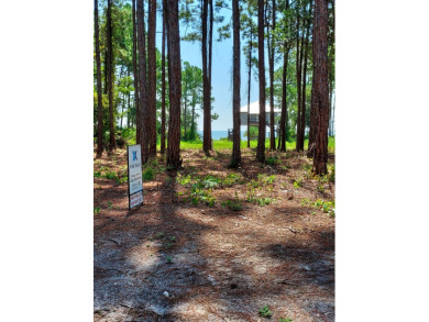The absolute best cleared bay vies lot in St James Bay Golf & on St. James Bay in Florida - for sale on GolfHomes.com, golf home, golf lot