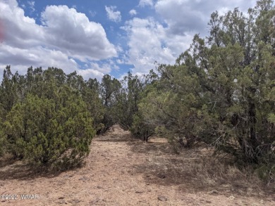 10 Acres to Build Your Dream Home!  Lot is very level and has on Juniper Ridge R.V. Golf Resort in Arizona - for sale on GolfHomes.com, golf home, golf lot