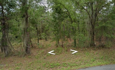 This beautiful .96 acre lot would make the ideal place to build on Citrus Hills Golf Club in Florida - for sale on GolfHomes.com, golf home, golf lot