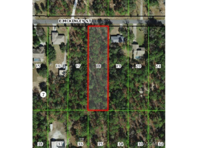 This beautiful .96 acre lot would make the ideal place to build on Citrus Hills Golf Club in Florida - for sale on GolfHomes.com, golf home, golf lot