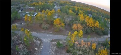 This Culdesac and Cleared Vacant Land is located in Citrus on Pine Ridge Community Golf and Country Club in Florida - for sale on GolfHomes.com, golf home, golf lot