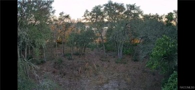 This Culdesac and Cleared Vacant Land is located in Citrus on Pine Ridge Community Golf and Country Club in Florida - for sale on GolfHomes.com, golf home, golf lot