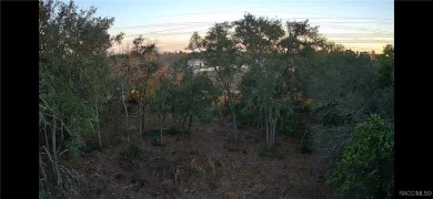 This Culdesac and Cleared Vacant Land is located in Citrus on Pine Ridge Community Golf and Country Club in Florida - for sale on GolfHomes.com, golf home, golf lot