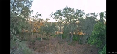 This Culdesac and Cleared Vacant Land is located in Citrus on Pine Ridge Community Golf and Country Club in Florida - for sale on GolfHomes.com, golf home, golf lot