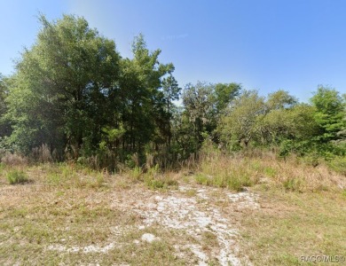 Build your dream home on this beautiful one+ acre Pine Ridge on Pine Ridge Community Golf and Country Club in Florida - for sale on GolfHomes.com, golf home, golf lot