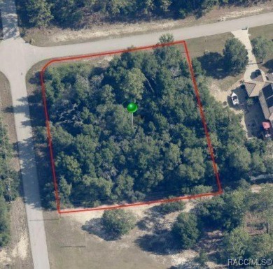 Build your dream home on this beautiful one+ acre Pine Ridge on Pine Ridge Community Golf and Country Club in Florida - for sale on GolfHomes.com, golf home, golf lot