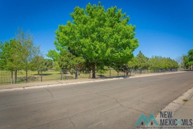 Experience Luxury Living At Its Finest In This Stunning on Spring River Golf Course in New Mexico - for sale on GolfHomes.com, golf home, golf lot