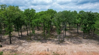 Beautiful elevated 4 acre lot with boatslip overlooking private on Pinnacle Golf and Boat Club in Texas - for sale on GolfHomes.com, golf home, golf lot