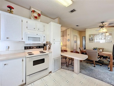 Welcome to 25125 Bellevue, located in the Plantation at Leesburg on Plantation Golf Club in Florida - for sale on GolfHomes.com, golf home, golf lot