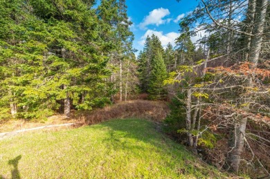 Gorgeous new construction home just completed and ready for on Mount Snow Golf Club in Vermont - for sale on GolfHomes.com, golf home, golf lot