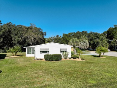 Welcome to 25125 Bellevue, located in the Plantation at Leesburg on Plantation Golf Club in Florida - for sale on GolfHomes.com, golf home, golf lot