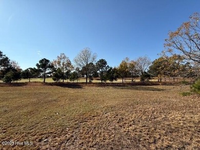 Discover the perfect opportunity to build your dream home on on River Landing Golf Course in North Carolina - for sale on GolfHomes.com, golf home, golf lot