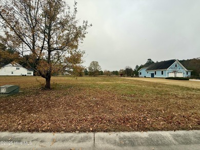 Build your dream home in a place that feels like a retreat every on River Landing Golf Course in North Carolina - for sale on GolfHomes.com, golf home, golf lot