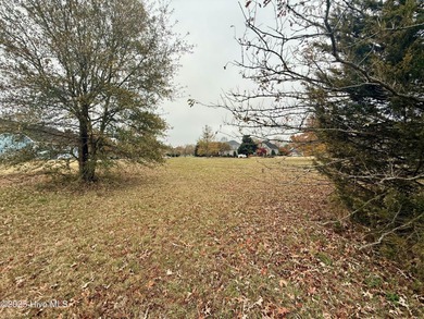 Build your dream home in a place that feels like a retreat every on River Landing Golf Course in North Carolina - for sale on GolfHomes.com, golf home, golf lot