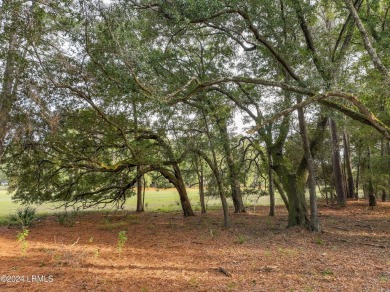 Come check out this great residential lot in the heart of on The Golf Club at Pleasant Point Plantation in South Carolina - for sale on GolfHomes.com, golf home, golf lot
