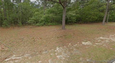 Now is the perfect time and place and build your dream home on Deercroft Golf and Country Club in North Carolina - for sale on GolfHomes.com, golf home, golf lot