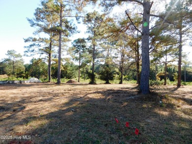Beautiful homesite located in Ocean Ridge Plantation in the on Sea Trail Golf Resort in North Carolina - for sale on GolfHomes.com, golf home, golf lot