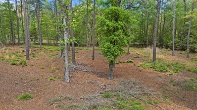 Three spacious lots totaling 6.725 acres are ready for you to on Rayburn Country Club in Texas - for sale on GolfHomes.com, golf home, golf lot