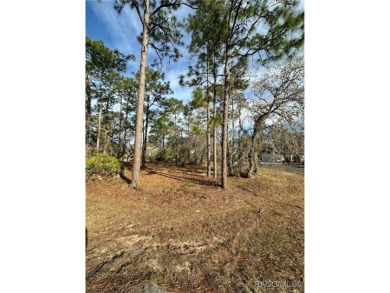 Discover the perfect spot to build your dream home in the on Southern Woods Golf Club in Florida - for sale on GolfHomes.com, golf home, golf lot