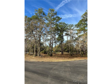 Discover the perfect spot to build your dream home in the on Southern Woods Golf Club in Florida - for sale on GolfHomes.com, golf home, golf lot