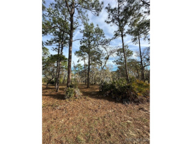 Discover the perfect spot to build your dream home in the on Southern Woods Golf Club in Florida - for sale on GolfHomes.com, golf home, golf lot