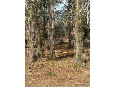Discover the perfect spot to build your dream home in the on Southern Woods Golf Club in Florida - for sale on GolfHomes.com, golf home, golf lot