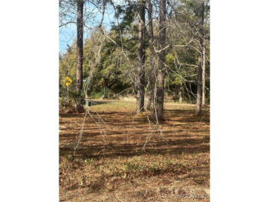 Discover the perfect spot to build your dream home in the on Southern Woods Golf Club in Florida - for sale on GolfHomes.com, golf home, golf lot