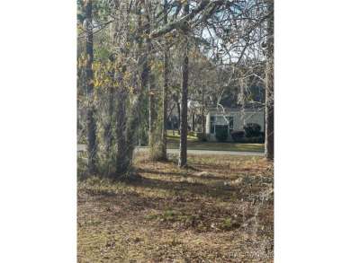 Discover the perfect spot to build your dream home in the on Southern Woods Golf Club in Florida - for sale on GolfHomes.com, golf home, golf lot