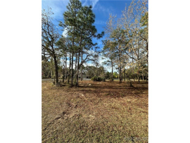 Discover the perfect spot to build your dream home in the on Southern Woods Golf Club in Florida - for sale on GolfHomes.com, golf home, golf lot