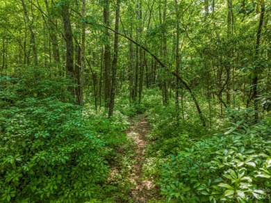 Perfectly located overlooking NCs largest private lake, Toxaway on Lake Toxaway Country Club in North Carolina - for sale on GolfHomes.com, golf home, golf lot