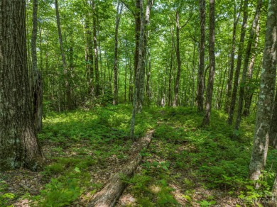 Perfectly located overlooking NCs largest private lake, Toxaway on Lake Toxaway Country Club in North Carolina - for sale on GolfHomes.com, golf home, golf lot