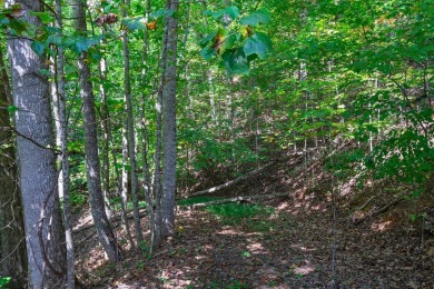 Rare opportunity to own 3 adjoining lots totaling 1.35+/- acres on Mill Creek Country Club in North Carolina - for sale on GolfHomes.com, golf home, golf lot