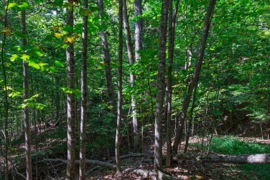 Rare opportunity to own 3 adjoining lots totaling 1.35+/- acres on Mill Creek Country Club in North Carolina - for sale on GolfHomes.com, golf home, golf lot