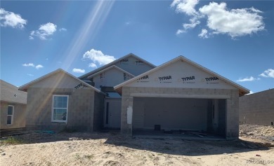 NEW IMPROVED PRICING AND SELLER OFFERING UP TO $20,000.00 FLEX on Twisted Oaks Golf Club in Florida - for sale on GolfHomes.com, golf home, golf lot