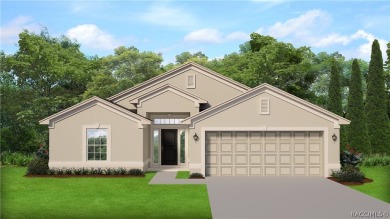NEW IMPROVED PRICING AND SELLER OFFERING UP TO $20,000.00 FLEX on Twisted Oaks Golf Club in Florida - for sale on GolfHomes.com, golf home, golf lot