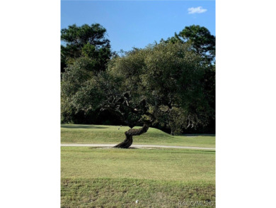 NEW IMPROVED PRICING AND SELLER OFFERING UP TO $20,000.00 FLEX on Twisted Oaks Golf Club in Florida - for sale on GolfHomes.com, golf home, golf lot