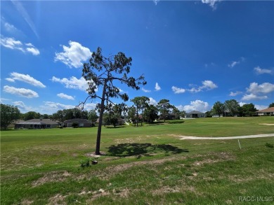 NEW IMPROVED PRICING AND SELLER OFFERING UP TO $20,000.00 FLEX on Twisted Oaks Golf Club in Florida - for sale on GolfHomes.com, golf home, golf lot