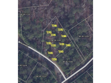 This lot is surrounded on two sides by several acres of Savannah on Monticello Golf Club At Savannah Lakes in South Carolina - for sale on GolfHomes.com, golf home, golf lot