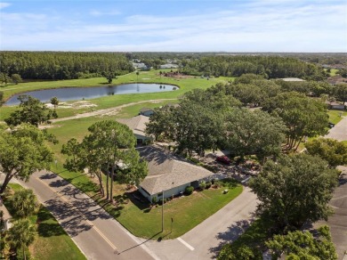 Resort-Style Living Awaits in Kings Point at Sun City Center!

 on Falcon Watch Golf Club in Florida - for sale on GolfHomes.com, golf home, golf lot