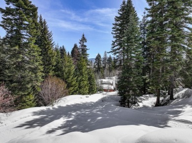 Custom Estate homesite with ski access in Pinnacle Estates at on Osprey Meadows at Tamarack Resort in Idaho - for sale on GolfHomes.com, golf home, golf lot