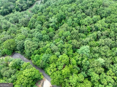 Build your dream home on this beautiful 2.21-acre lot in an on Old Toccoa Farm Golf Club in Georgia - for sale on GolfHomes.com, golf home, golf lot