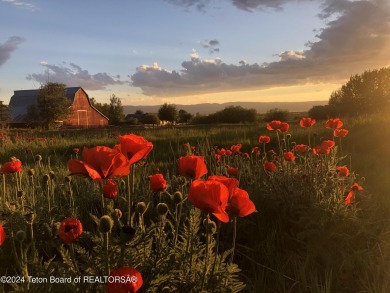 Spring Creek Farms is home to this beautiful 9.23 acre parcel on Targhee Village Golf Course in Wyoming - for sale on GolfHomes.com, golf home, golf lot