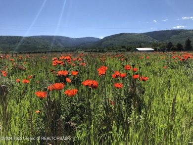 Spring Creek Farms is home to this beautiful 9.23 acre parcel on Targhee Village Golf Course in Wyoming - for sale on GolfHomes.com, golf home, golf lot