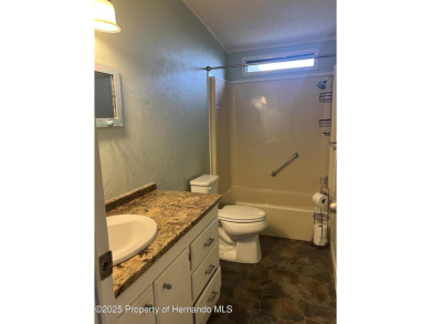 Calling all retired manatee and mermaid lovers, this on Brookridge Country Club in Florida - for sale on GolfHomes.com, golf home, golf lot